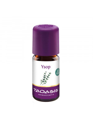 ИСОП  /Hyssopus officinalis/